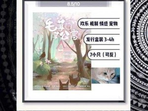 柚子猫圣诞礼物——毛茸茸的温暖陪伴