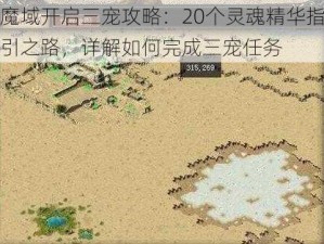 魔域开启三宠攻略：20个灵魂精华指引之路，详解如何完成三宠任务