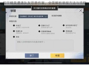 和平精英遭遇队友恶意伤害，全面解析举报方法与流程