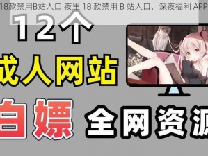 夜里18款禁用B站入口 夜里 18 款禁用 B 站入口，深夜福利 APP 软件大全