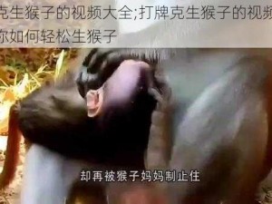 打牌克生猴子的视频大全;打牌克生猴子的视频大全，教你如何轻松生猴子