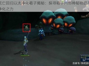 死亡回归以太净化箱子揭秘：探寻箱子内部神秘物品与净化之力