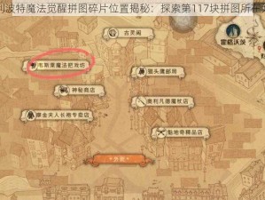 哈利波特魔法觉醒拼图碎片位置揭秘：探索第117块拼图所在大全