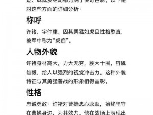 《放开那三国3：许褚实力解析与强度评测》