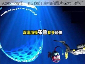 Apex小海怪：奇幻海洋生物的图片探索与解析