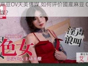 國産麻豆OV天美傳媒,如何评价國産麻豆 OV 天美傳媒？