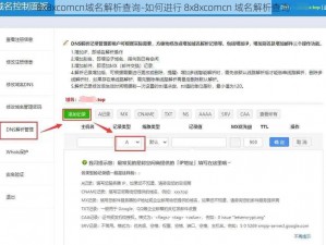 8x8xcomcn域名解析查询-如何进行 8x8xcomcn 域名解析查询