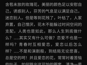 口述三个男人躁我一个爽点评：产品特点及优势