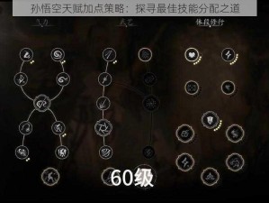 孙悟空天赋加点策略：探寻最佳技能分配之道