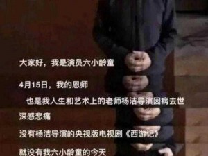 六小龄童的文体两开花言论揭秘：解析艺术与教育的完美结合之观点