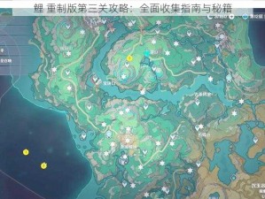 鲤 重制版第三关攻略：全面收集指南与秘籍