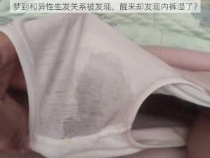 梦到和异性生发关系被发现，醒来却发现内裤湿了？