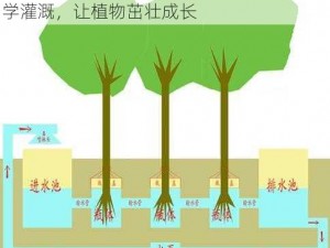 优质灌溉攻略系统-优质灌溉攻略系统：科学灌溉，让植物茁壮成长