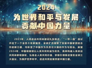 关于2024年和平下一个军需的深入分析与