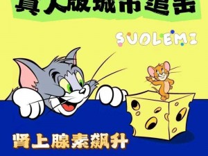 猫鼠斗智：钥匙背后的秘密世界探索