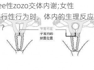 女fiee性zozo交体内谢;女性在进行性行为时，体内的生理反应是怎样的？