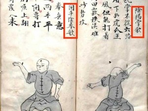 金庸无双2少林技能探秘：拳、掌、腿功与绝技揭秘