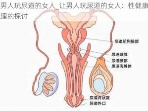 让男人玩尿道的女人_让男人玩尿道的女人：性健康与伦理的探讨