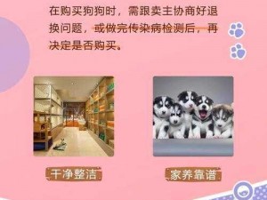 与狗勾共度春夏秋冬：安装配置指南与实用手册