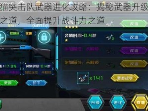 狸猫突击队武器进化攻略：揭秘武器升级进阶之道，全面提升战斗力之道