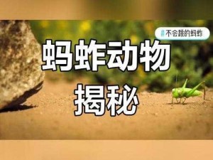 呱呱呱免费观看-呱呱呱免费观看：探索奇妙世界