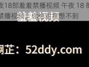 午夜18部羞羞禁播视频 午夜 18 部羞羞禁播视频，你绝对意想不到