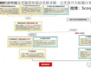 哈利波特魔法觉醒禁林骚动攻略详解：过关技巧与秘籍分享