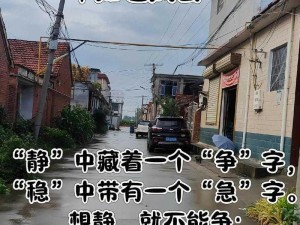 越急手需稳扎稳打，心静如水方显争锋本色——手机壁纸艺术新视角