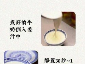 姜汁撞奶POH_如何制作口感绝佳的姜汁撞奶 POH？