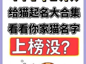 《史上最囧游戏叫醒熊猫第2关攻略秘籍，又挂难题终解决》