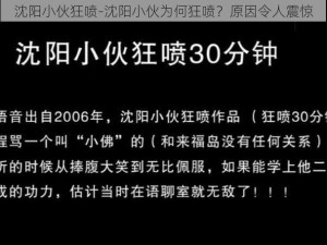 沈阳小伙狂喷-沈阳小伙为何狂喷？原因令人震惊