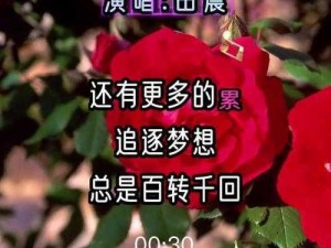 抖音热曲揭秘：玫瑰花瓣飘舞间，旋律在眼前流淌的旋律之韵歌