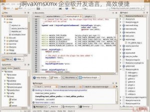 j啊vaXmsXmx 企业级开发语言，高效便捷