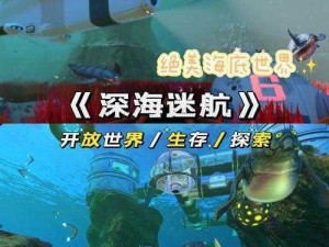 海底生存电脑版下载攻略：安装步骤及下载地址全解析