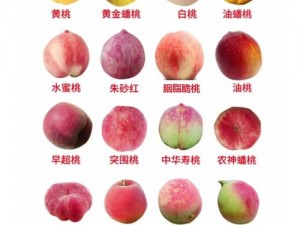 蜜桃5、如何评价蜜桃 5的口感和营养价值？