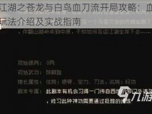 大江湖之苍龙与白鸟血刀流开局攻略：血刀流玩法介绍及实战指南