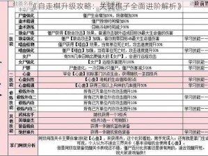 《自走棋升级攻略：关键棋子全面进阶解析》