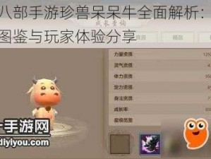 天龙八部手游珍兽呆呆牛全面解析：属性技能图鉴与玩家体验分享