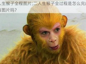 二人生猴子全程图片;二人生猴子全过程是怎么完成的？有图片吗？