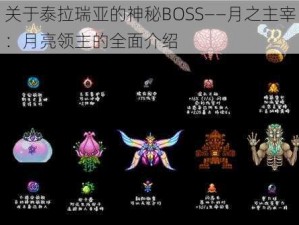 关于泰拉瑞亚的神秘BOSS——月之主宰：月亮领主的全面介绍