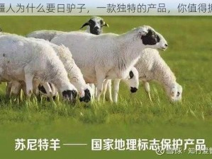 新疆人为什么要日驴子，一款独特的产品，你值得拥有