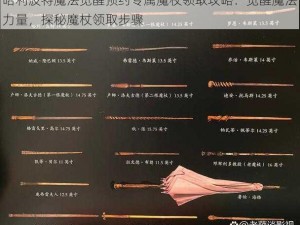 哈利波特魔法觉醒预约专属魔杖领取攻略：觉醒魔法力量，探秘魔杖领取步骤