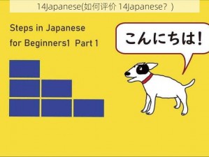 14Japanese(如何评价 14Japanese？)