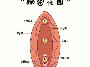 欧洲之星私密紧致—欧洲之星私密紧致，你需要了解的一切