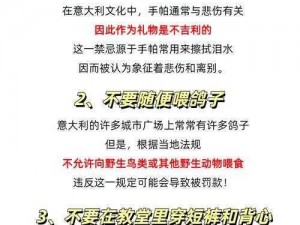 意大利需要爸爸播种中文翻译、意大利需要爸爸播种中文翻译的工作，由谁来完成？