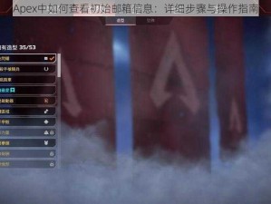 Apex中如何查看初始邮箱信息：详细步骤与操作指南