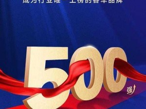 500导航正第一品牌、探寻 500 导航：是否真为正第一品牌？