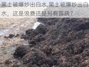 黑土被爆炒出白水,黑土被爆炒出白水，这是浪费还是另有蹊跷？