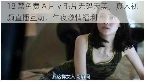 18 禁免费 A 片 v 毛片无码天美，真人视频直播互动，午夜激情福利