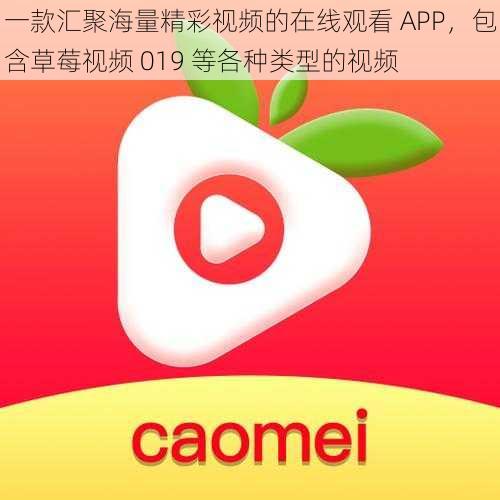 一款汇聚海量精彩视频的在线观看 APP，包含草莓视频 019 等各种类型的视频